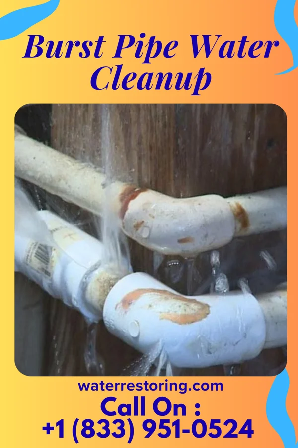 Burst Pipe Water Cleanup in Cecil-Bishop, PA