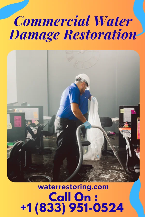 Commercial Water Damage Restoration in Cecil-Bishop, PA