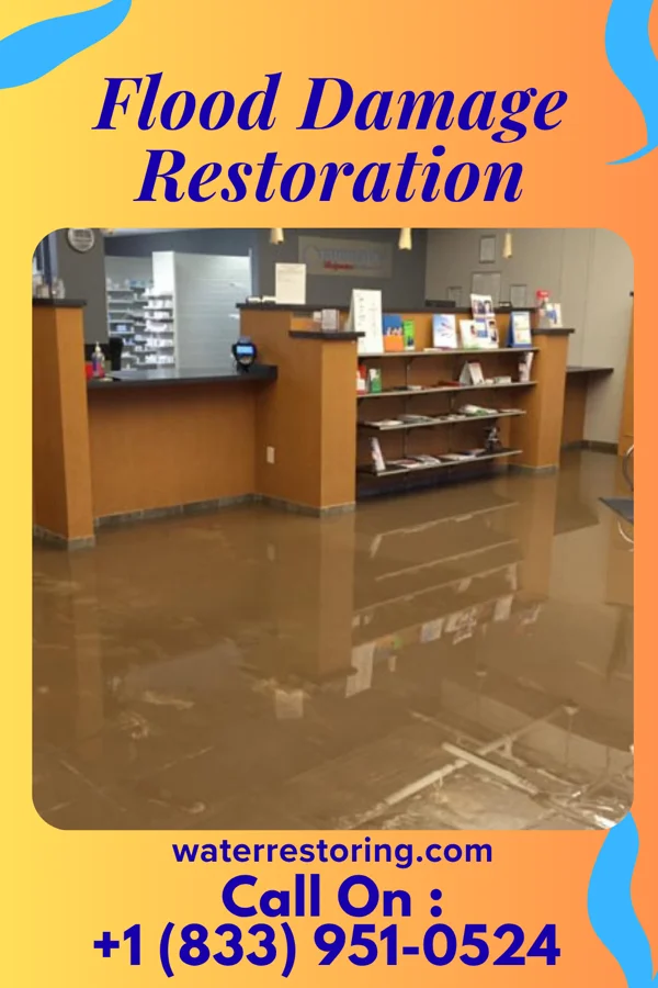 Flood Damage Restoration in Cecil-Bishop, PA