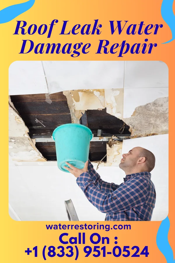 Roof Leak Water Damage Repair in Cecil-Bishop, PA