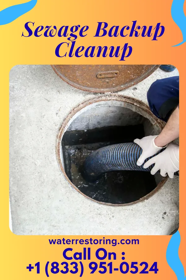 Sewage Backup Cleanup in Cecil-Bishop, PA